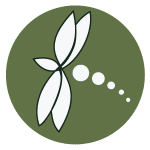 McTaggartCreative-logo-Dragonfly
